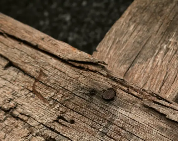 Take up Your Cross Daily